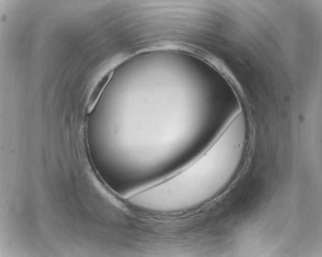 X0000067000805200603241044