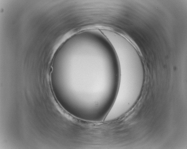 X0000067000813200603241044
