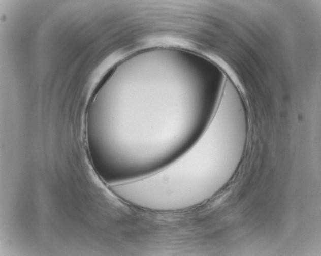 X0000067000815200603241044