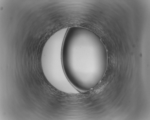 X0000067000818200603241043