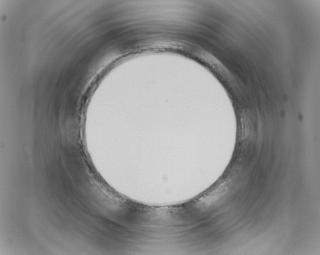 X0000067000828200603241043