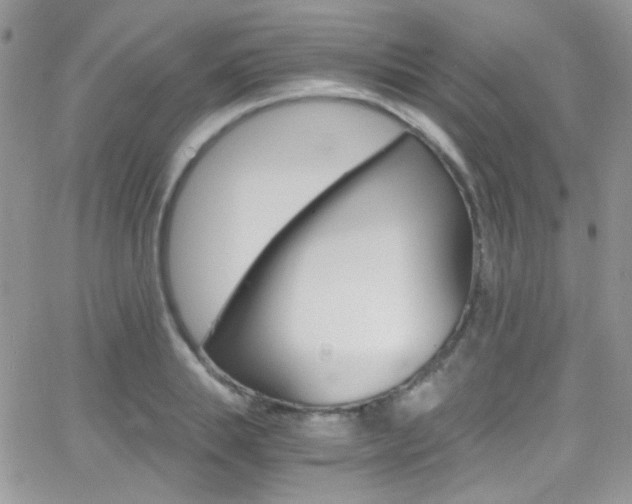 X0000067000839200603241043