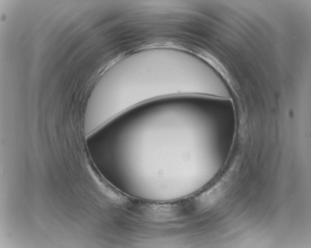 X0000067000849200603241043