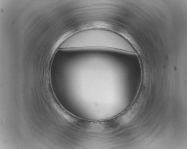X0000067000850200603241043