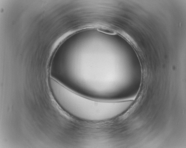 X0000067000854200603241043