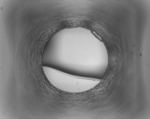 X0000067000865200603241043