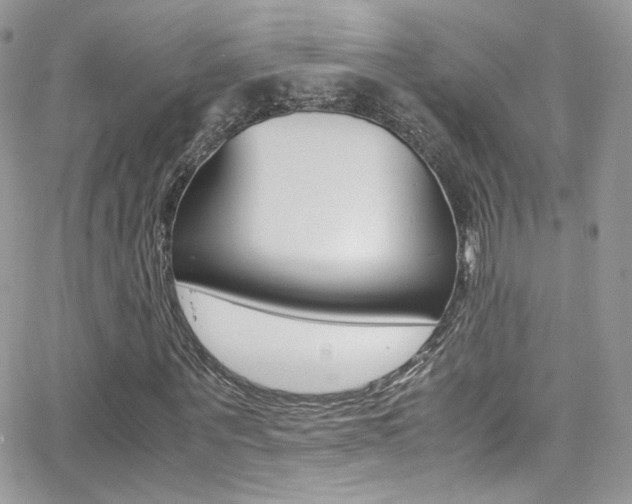 X0000067000867200603241043