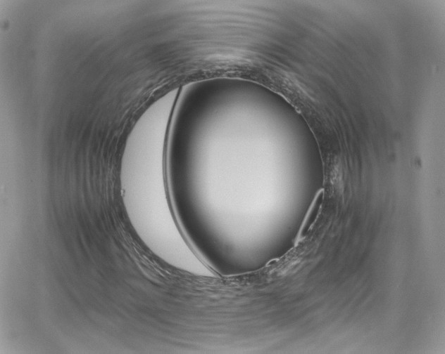 X0000067000868200603241043