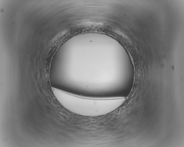 X0000067000869200603241043