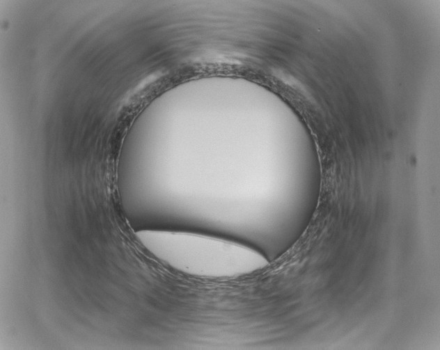 X0000067000870200603241043