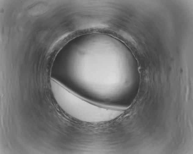X0000067000872200603241043