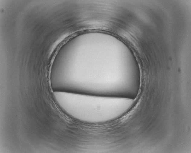 X0000067000875200603241043