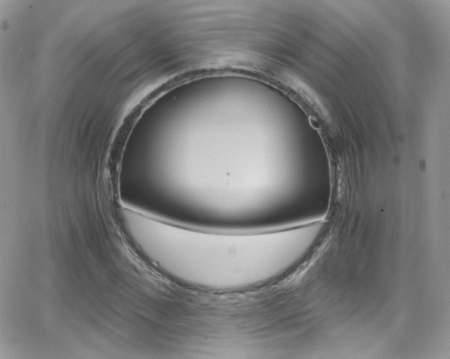 X0000067000876200603241043