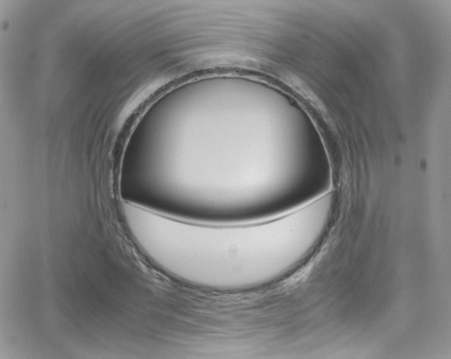 X0000067000877200603241043