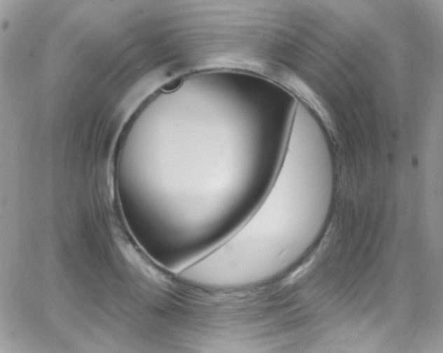 X0000067000892200603241042