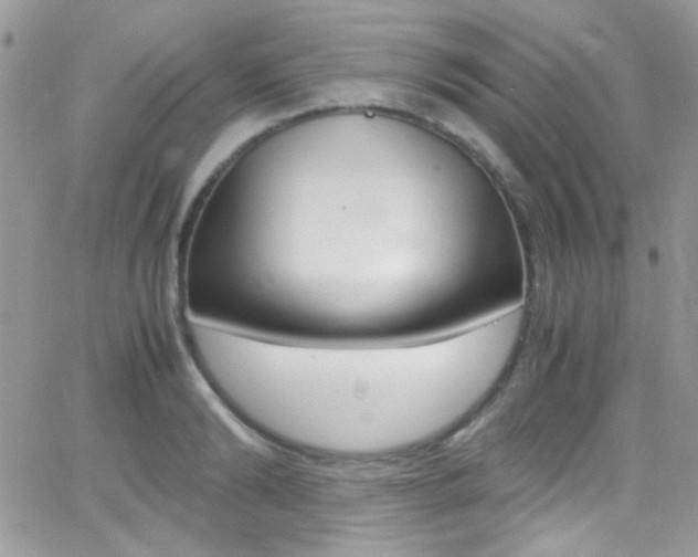 X0000067000894200603241042