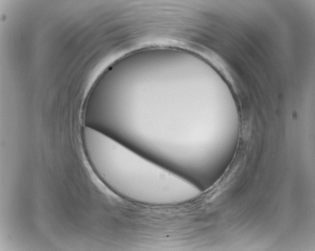 X0000067000903200603241042