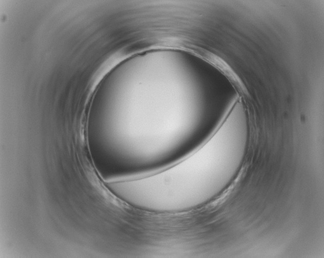 X0000067000908200603241042