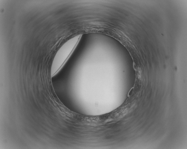 X0000067000915200603241041
