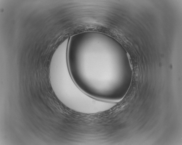 X0000067000916200603241041