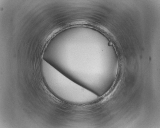 X0000067000929200603241042