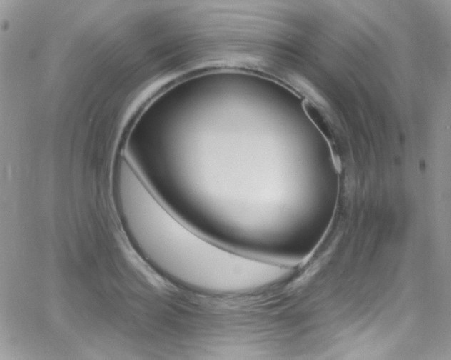X0000067000940200603241042