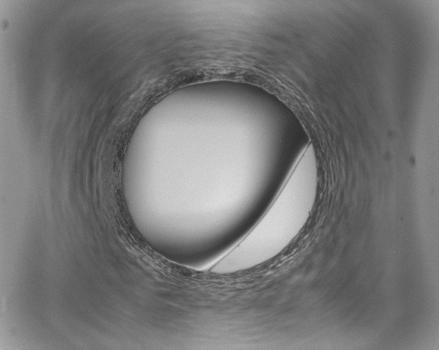 X0000067000961200603241041