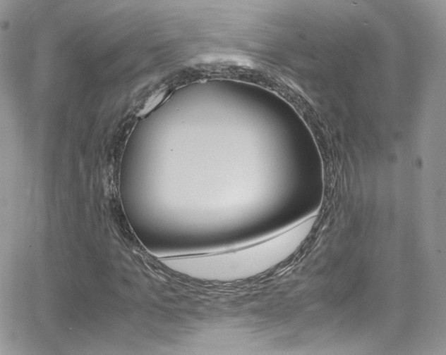X0000067000965200603241041