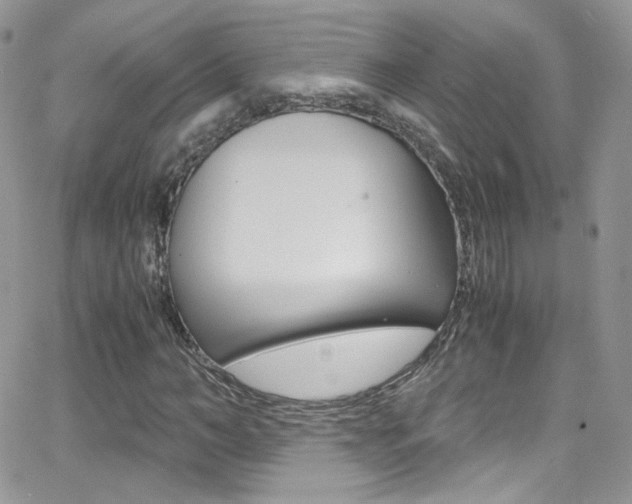 X0000067000966200603241041