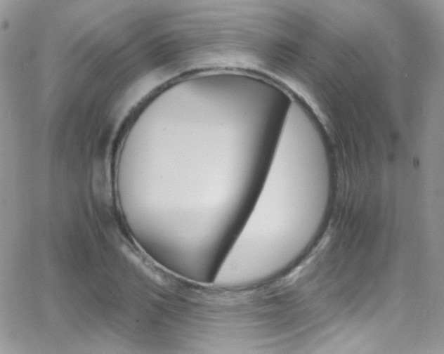 X0000067000982200603241041