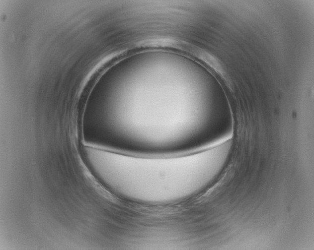 X0000067000984200603241041
