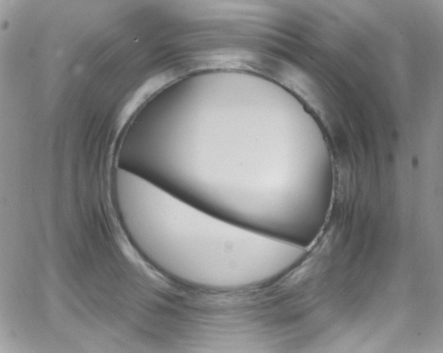 X0000067000994200603241041