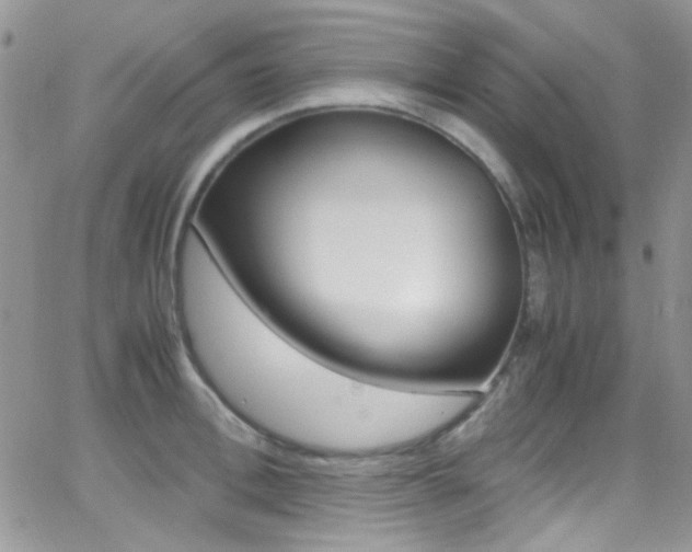 X0000067000996200603241041