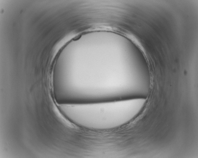 X0000067001003200603241041