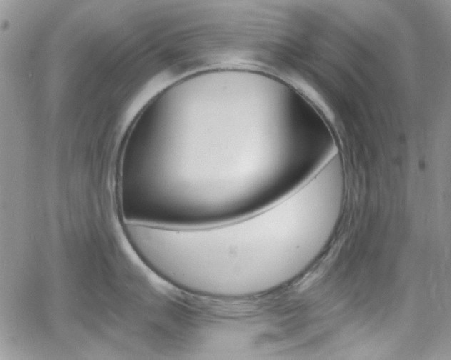 X0000067001007200603241040
