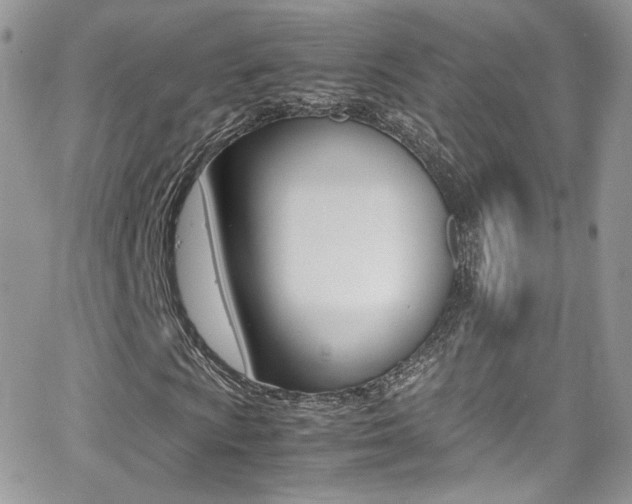 X0000067001009200603241040