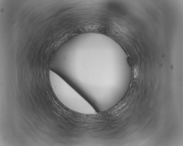 X0000067001011200603241040