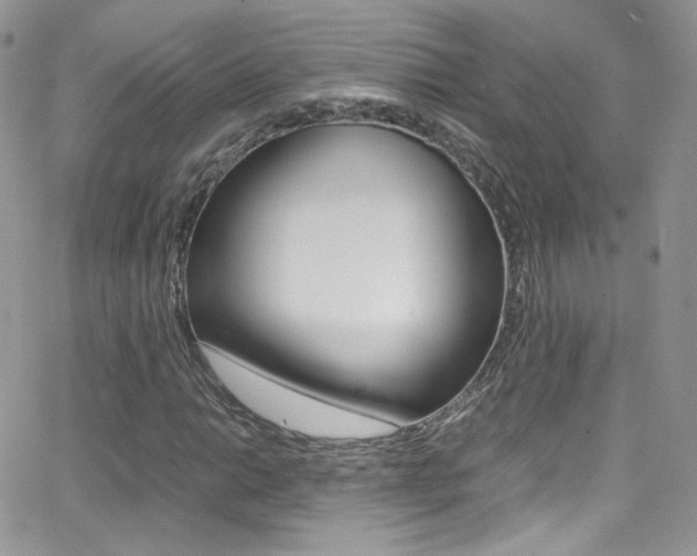 X0000067001014200603241040