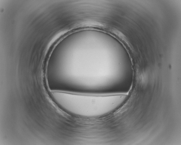 X0000067001024200603241040