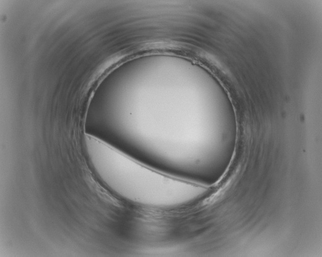 X0000067001025200603241040