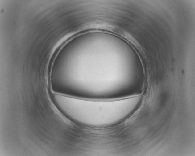 X0000067001028200603241040