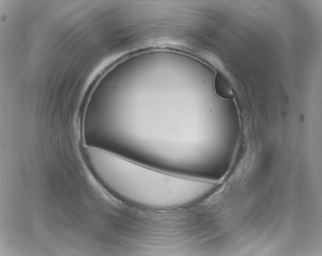 X0000067001032200603241040