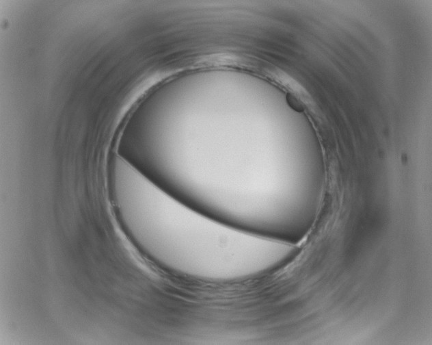 X0000067001039200603241040