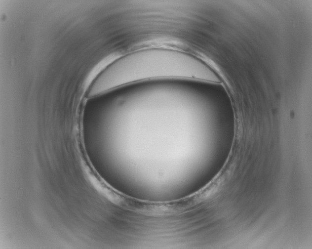 X0000067001042200603241040