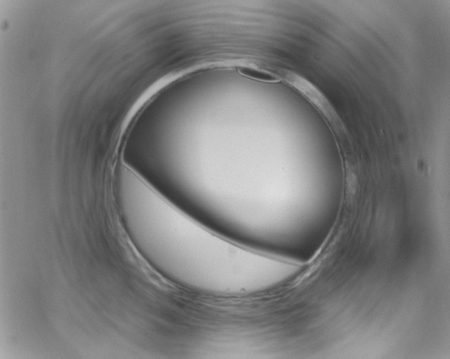 X0000067001052200603241040