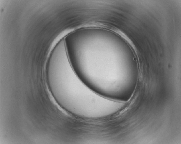 X0000067001053200603241040