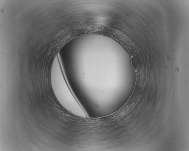X0000067001058200603241040