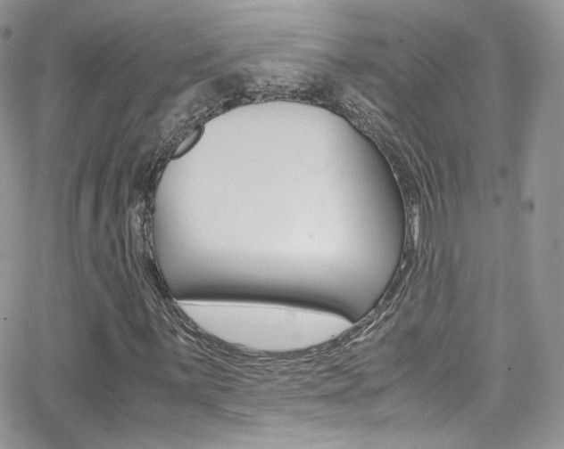 X0000067001059200603241040