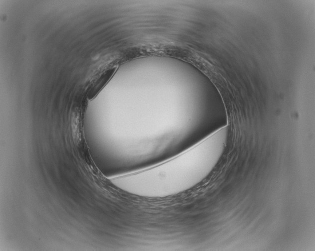 X0000067001060200603241040