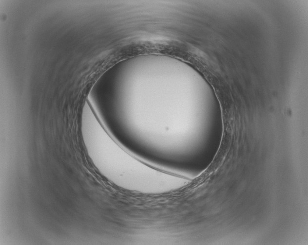 X0000067001061200603241040